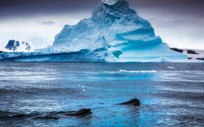 104 years after the feat of the “Pardo pilot”, the great rescue in Antarctica