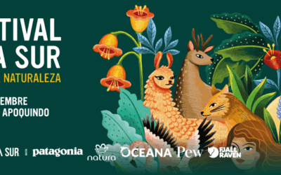 Fundación Glaciares Chilenos se suma al Festival Ladera Sur 2025