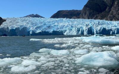 Derrame en Laguna San Rafael: Un llamado de alerta para el turismo en áreas protegidas