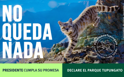 Parque Tupungato: carta abierta al Presidente Boric para cumplir con declaración