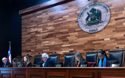 Tribunal Constitucional resguarda la protección ambiental frente al Plan de Reconstrucción Nacional